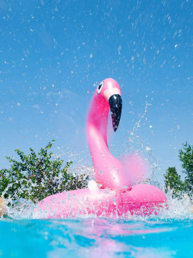 gift guide for pool owners