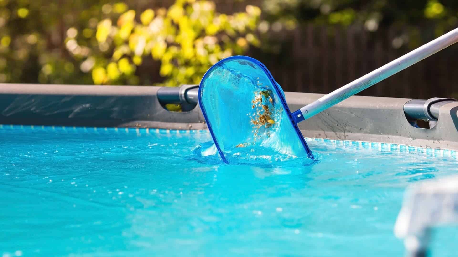 clean pool